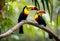 AI generated illustration of two vibrant toucans perched on a branch in an outdoor park
