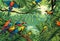 AI generated illustration of a vibrant animated jungle landscape with lush trees and colorful birds