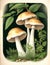 AI generated illustration of a vibrant and artistic floral arrangement with a variety of mushrooms