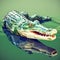 AI generated illustration of a vibrant crocodile animal in a cubic art style