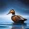 AI generated illustration of A vibrant, detailed  duck swimming in a tranquil body of water