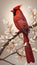 AI generated illustration of a vibrant winter cardinal perched on a graceful tree branch