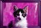 AI generated illustration of a vivid oil painting of a playful cat with a bright purple background