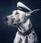 AI generated illustration of a white dog wearing a sailor hat on the gray background