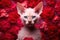 AI generated illustration of a white-furred Sphinx cat against a backdrop of red roses