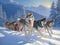 AI generated illustration of white and grey husky dogs harnessed to a sled