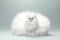 AI generated illustration of a white Persian cat perched on a white background