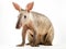 Ai Generated illustration Wildlife Concept of Aardvark Orycteropus 16 old