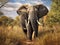 Ai Generated illustration Wildlife Concept of Africa Elephant