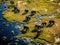 Ai Generated illustration Wildlife Concept of African Elephants - Okavango Delta - Botswana
