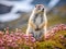 Ai Generated illustration Wildlife Concept of Arctic Ground Squirrel in Hatcher Pass