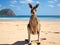 Ai Generated illustration Wildlife Concept of Australian eastern grey kangaroo mackay queensland