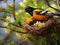 Ai Generated illustration Wildlife Concept of Baltimore Oriole feeding time