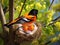 Ai Generated illustration Wildlife Concept of Baltimore Oriole feeding time
