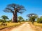 Ai Generated illustration Wildlife Concept of Baobab