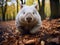 Ai Generated illustration Wildlife Concept of bare nosed wombat