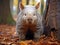 Ai Generated illustration Wildlife Concept of bare nosed wombat