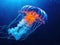 Ai Generated illustration Wildlife Concept of Beautiful Jelly Fish