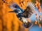 Ai Generated illustration Wildlife Concept of Belted Kingfisher