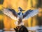 Ai Generated illustration Wildlife Concept of Belted Kingfisher
