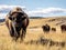 Ai Generated illustration Wildlife Concept of Bison on the Plains