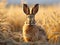 Ai Generated illustration Wildlife Concept of Black-tailed Jackrabbit