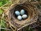 Ai Generated illustration Wildlife Concept of Blackbirds nest