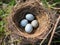 Ai Generated illustration Wildlife Concept of Blackbirds nest