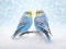 Ai Generated illustration Wildlife Concept of Blue Budgerigar on white background