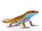 Ai Generated illustration Wildlife Concept of Blue tail skink lizard