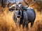 Ai Generated illustration Wildlife Concept of Blue wildebeest