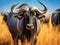 Ai Generated illustration Wildlife Concept of Blue wildebeest