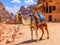 Ai Generated illustration Wildlife Concept of Camel in petra jordan