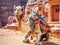 Ai Generated illustration Wildlife Concept of Camel in petra jordan