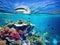 Ai Generated illustration Wildlife Concept of Caribbean reef view with cuise vacation boat