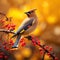 Ai Generated illustration Wildlife Concept of Cedar Waxwing