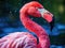 Ai Generated illustration Wildlife Concept of Chilean Flamingo