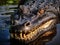 Ai Generated illustration Wildlife Concept of Close-up alligator head