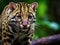 Ai Generated illustration Wildlife Concept of Close up ocelot big cat costa rica