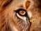 Ai Generated illustration Wildlife Concept of Closeup Lion