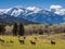 Ai Generated illustration Wildlife Concept of Colorado mountains and elk