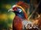 Ai Generated illustration Wildlife Concept of Common Pheasant