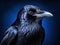 Ai Generated illustration Wildlife Concept of Common raven (Corvus corax).