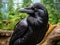 Ai Generated illustration Wildlife Concept of Common raven (Corvus corax).