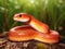 Ai Generated illustration Wildlife Concept of Corn Snake