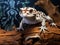 Ai Generated illustration Wildlife Concept of Crawling tokay gecko