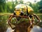 Ai Generated illustration Wildlife Concept of Diving beetle swimming insect water animal