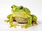 Ai Generated illustration Wildlife Concept of Edible Frog - Rana esculenta
