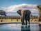 Ai Generated illustration Wildlife Concept of Elephant in Amboseli