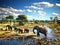 Ai Generated illustration Wildlife Concept of Elephants in african savanna